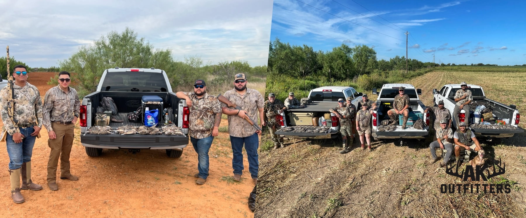 Dove Hunting Header