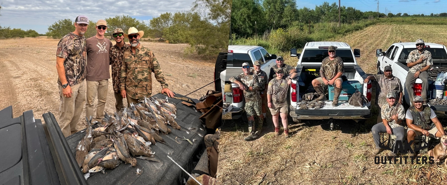 Dove Hunting