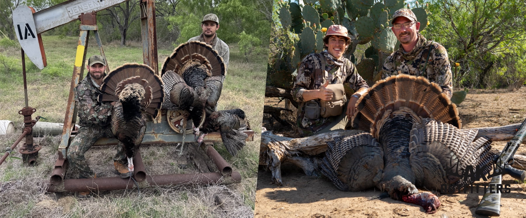 Turkey Hunting